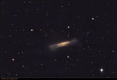 NGC 3628